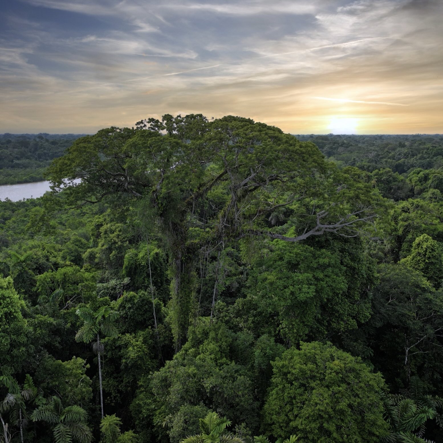 Mongabay Newscast