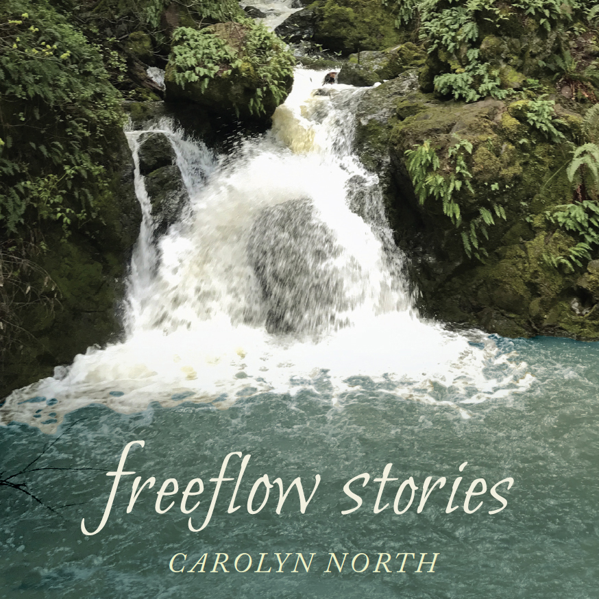 Carolyn North Out Loud