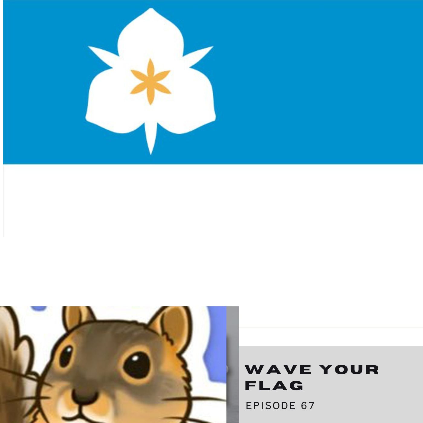 Wave Your Flag