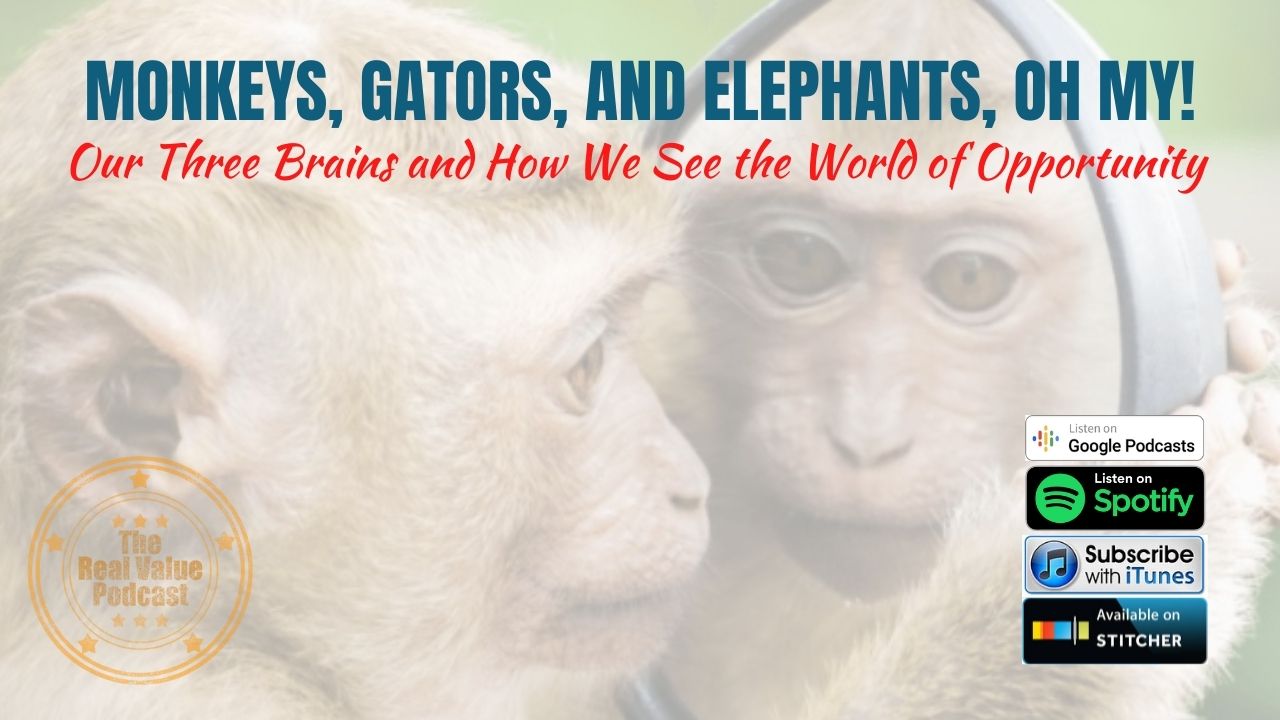 Monkeys, Gators, And Elephants, Oh My!