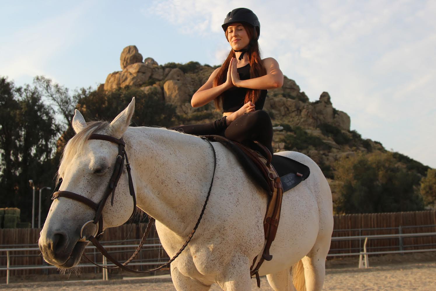 Horses Helping Humans