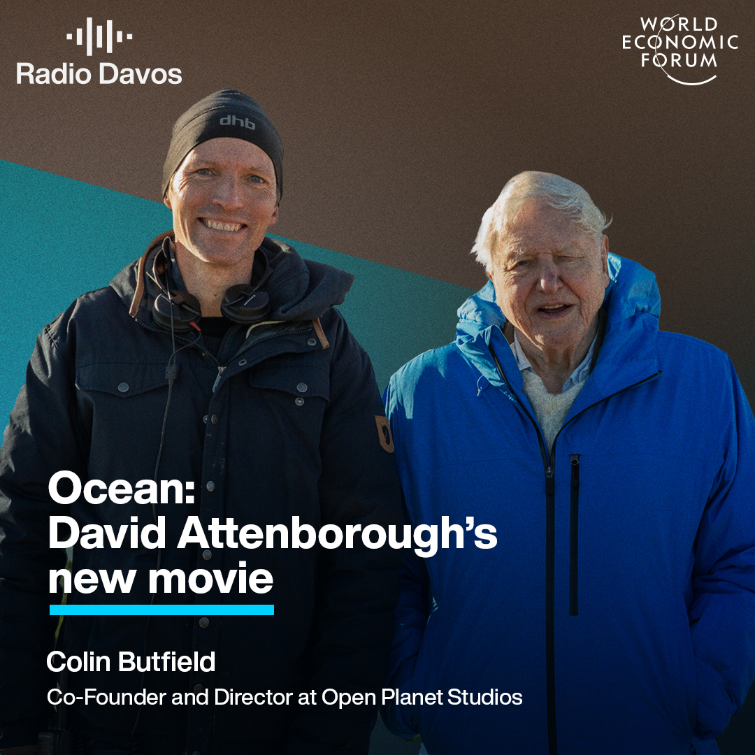 Ocean: David Attenborough's new film will transform how you see Earth
