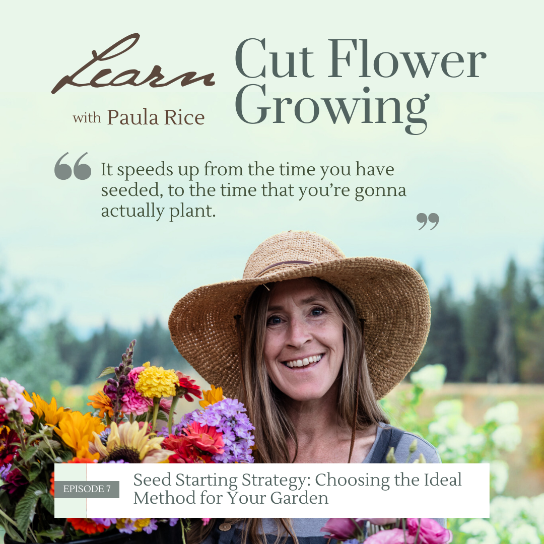 cover of episode 007: Seed Starting Strategy: Choosing the Ideal Method for Your Garden