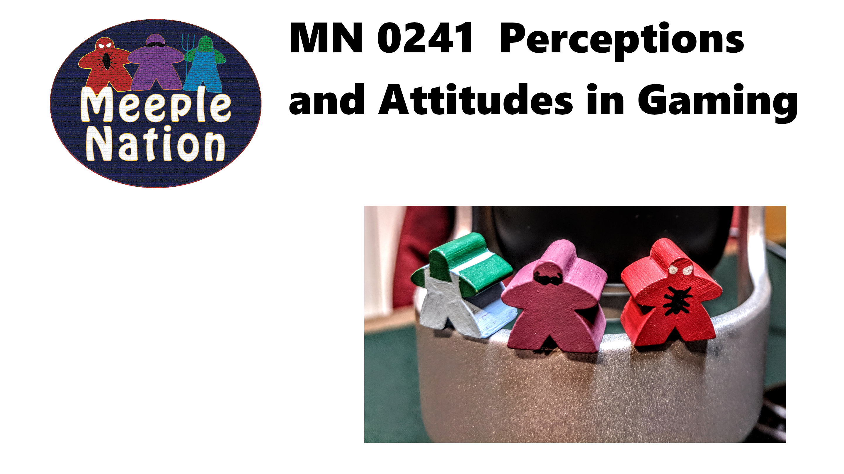 MN 0241 Perceptions and Attitudes in Gaming