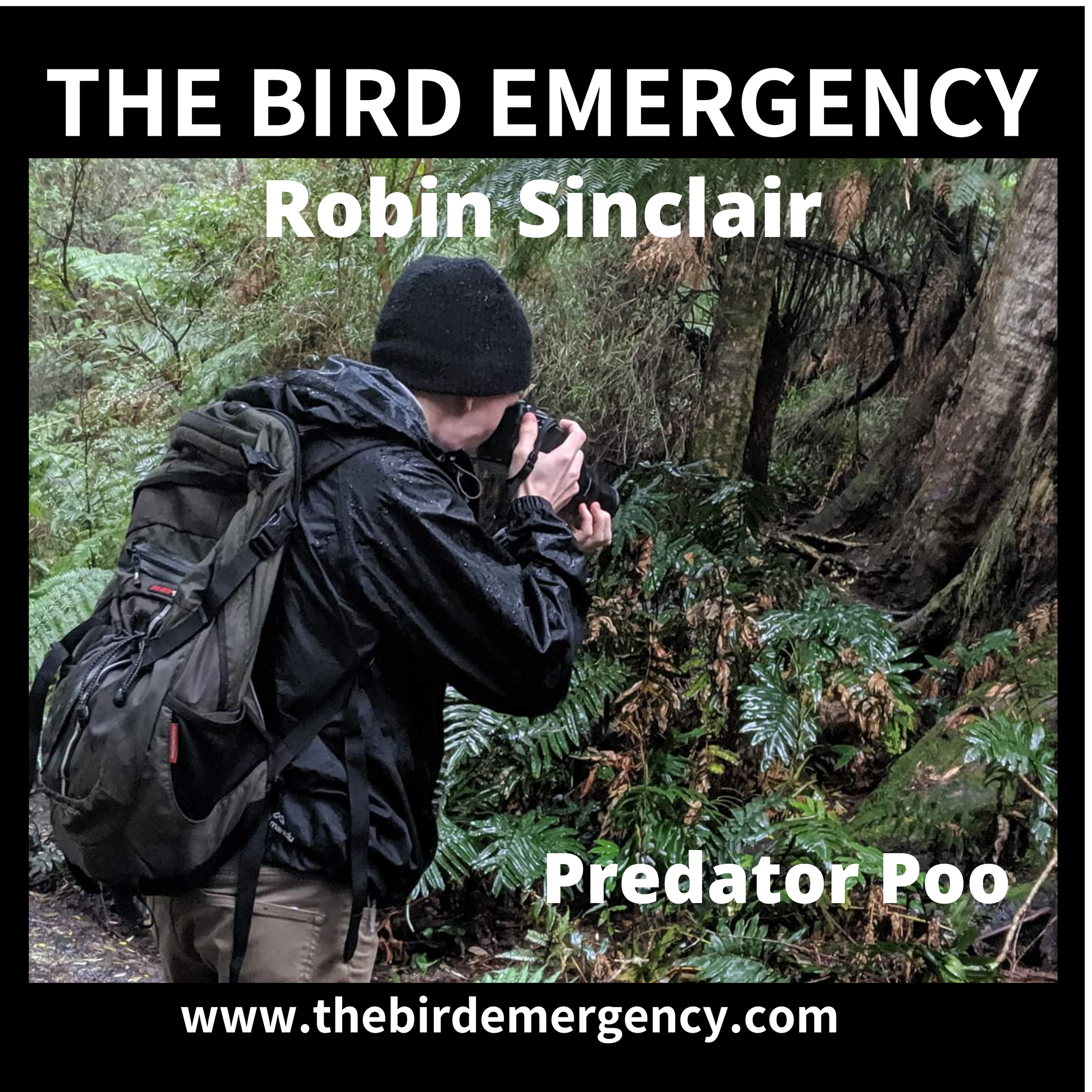 The Bird Emergency