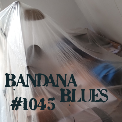 Bandana Blues #1045 - Wrapped In Plastic