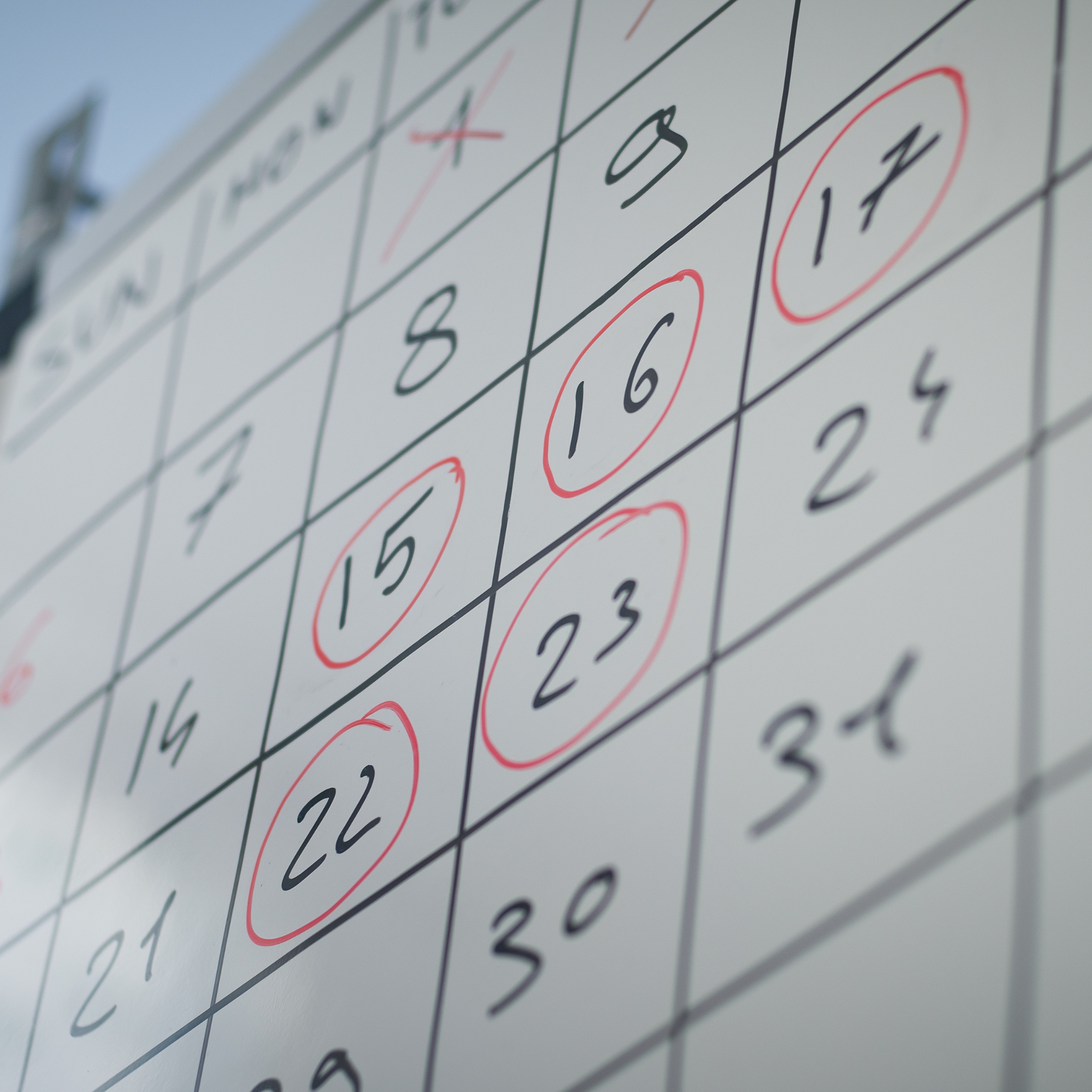 The Universal Seven-Day Week