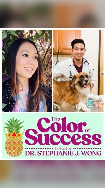 Color of Success