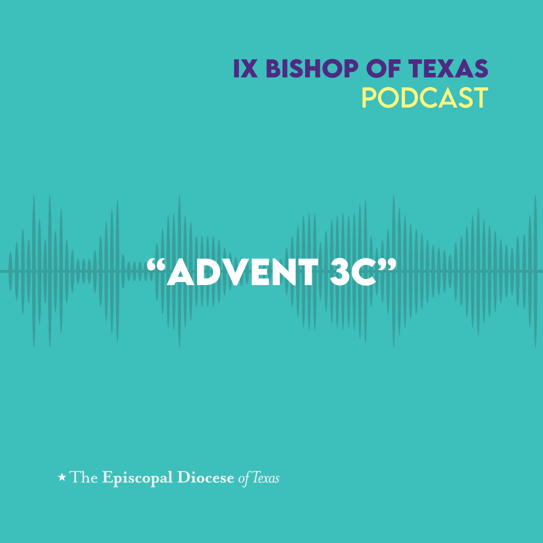 Ninth Bishop of Texas