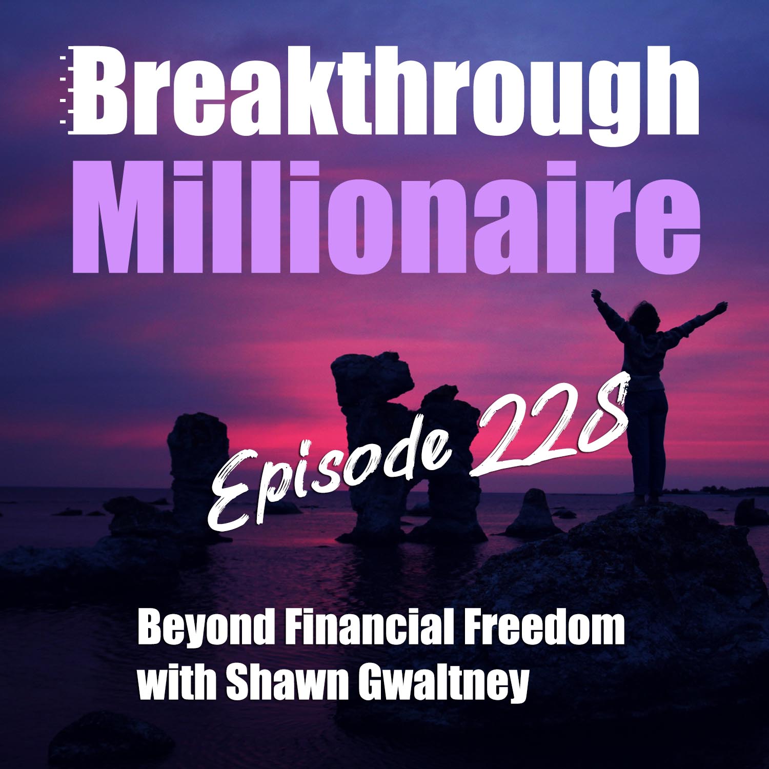 cover of episode 228: Beyond Financial Freedom w/ Shawn Gwaltney