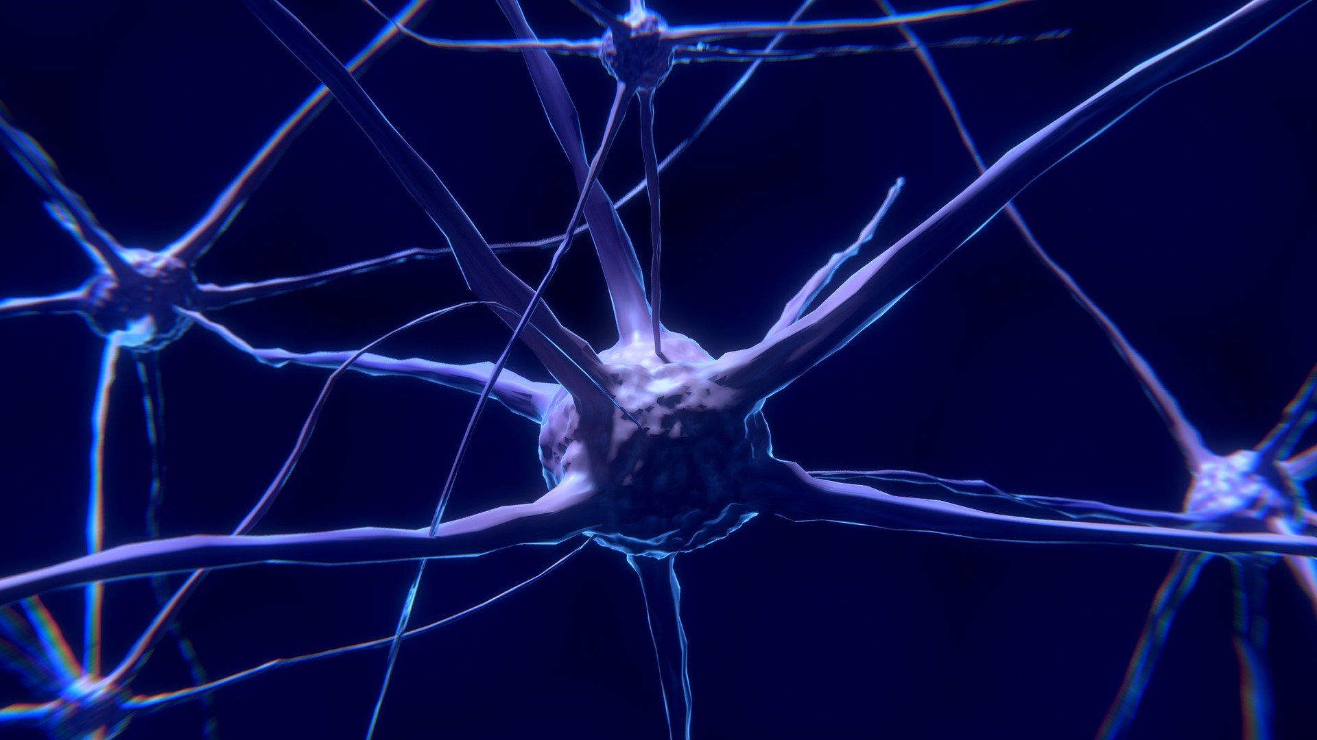 Why The Vagus Nerve System Is So Important | Sterling Cooley