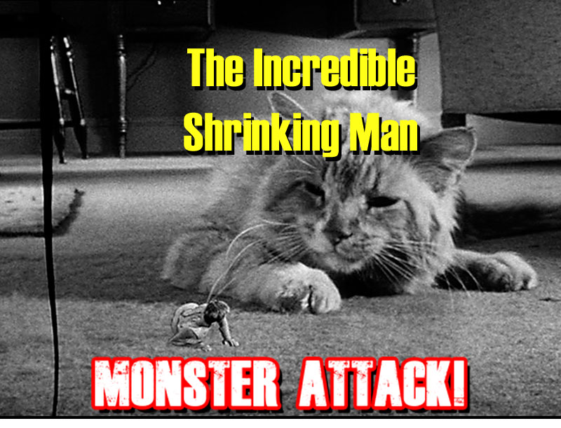 MONSTER ATTACK!
