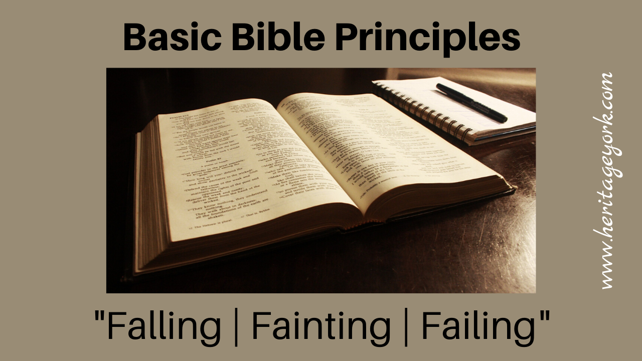 Falling Failing Fainting {Basic Bible Principles} episode artwork
