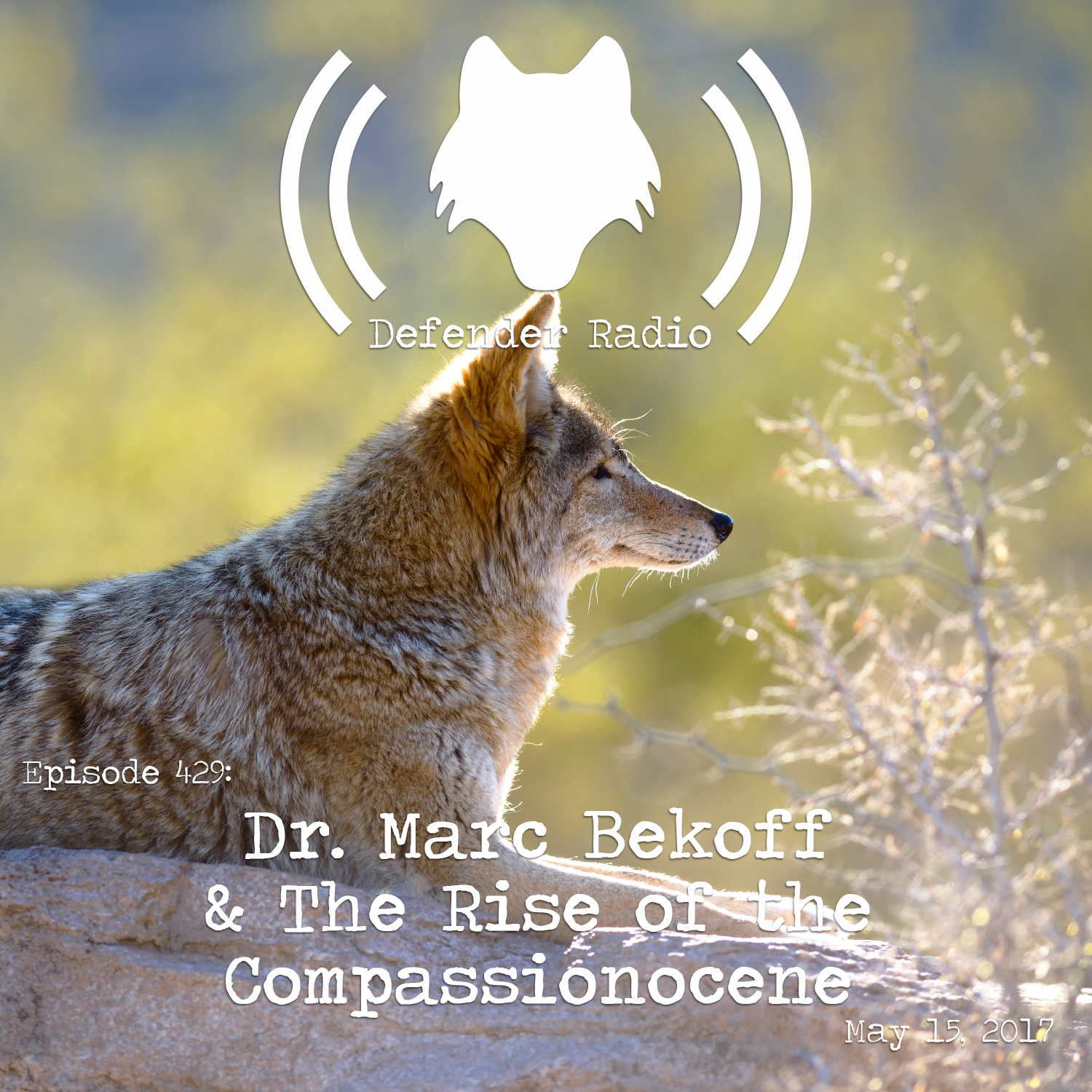 Defender Radio and The Switch