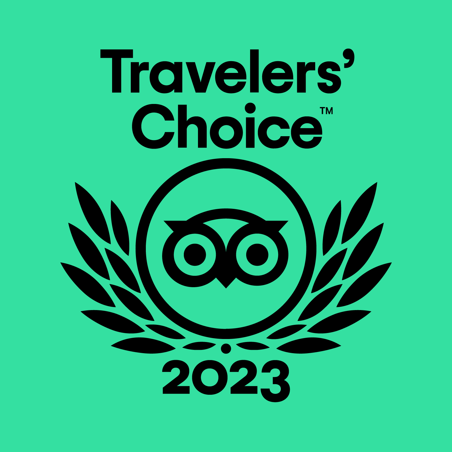 We Won Again! Trip Advisor Traveler's Choice Award 2023