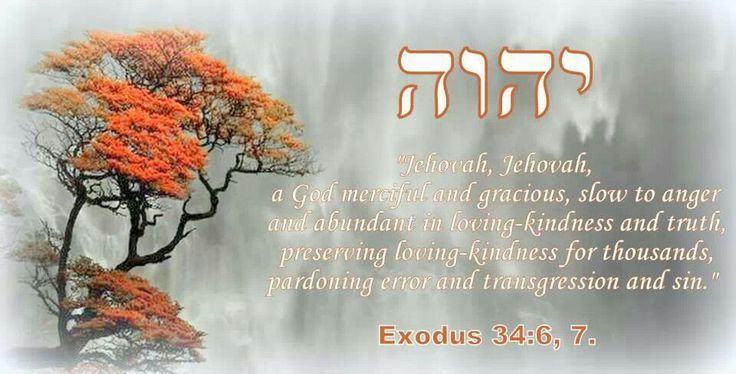 BeachCast.TV: Bible Exploration, Apologetics and Church History with Dr. Chase A. Thompson: