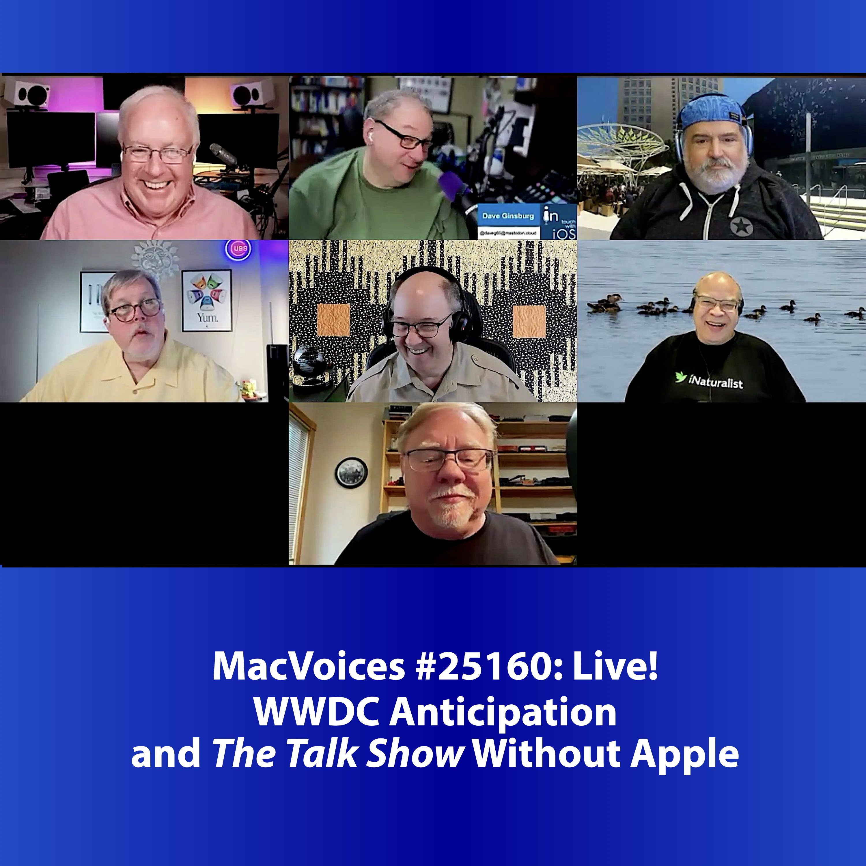 MacVoices