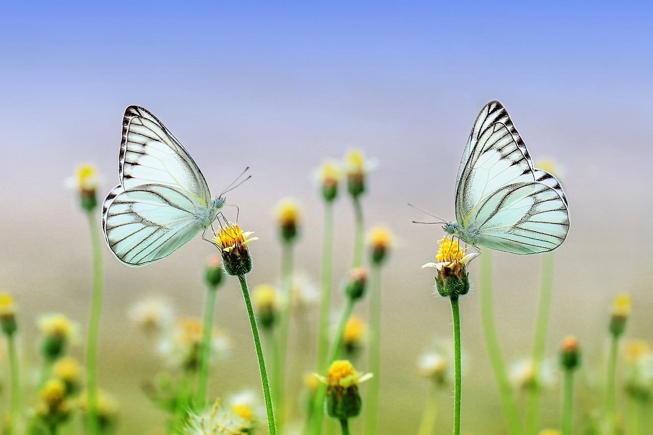 Relax, Sleep Deeply, and Rebalance your Energy | Mindful Guided Movement