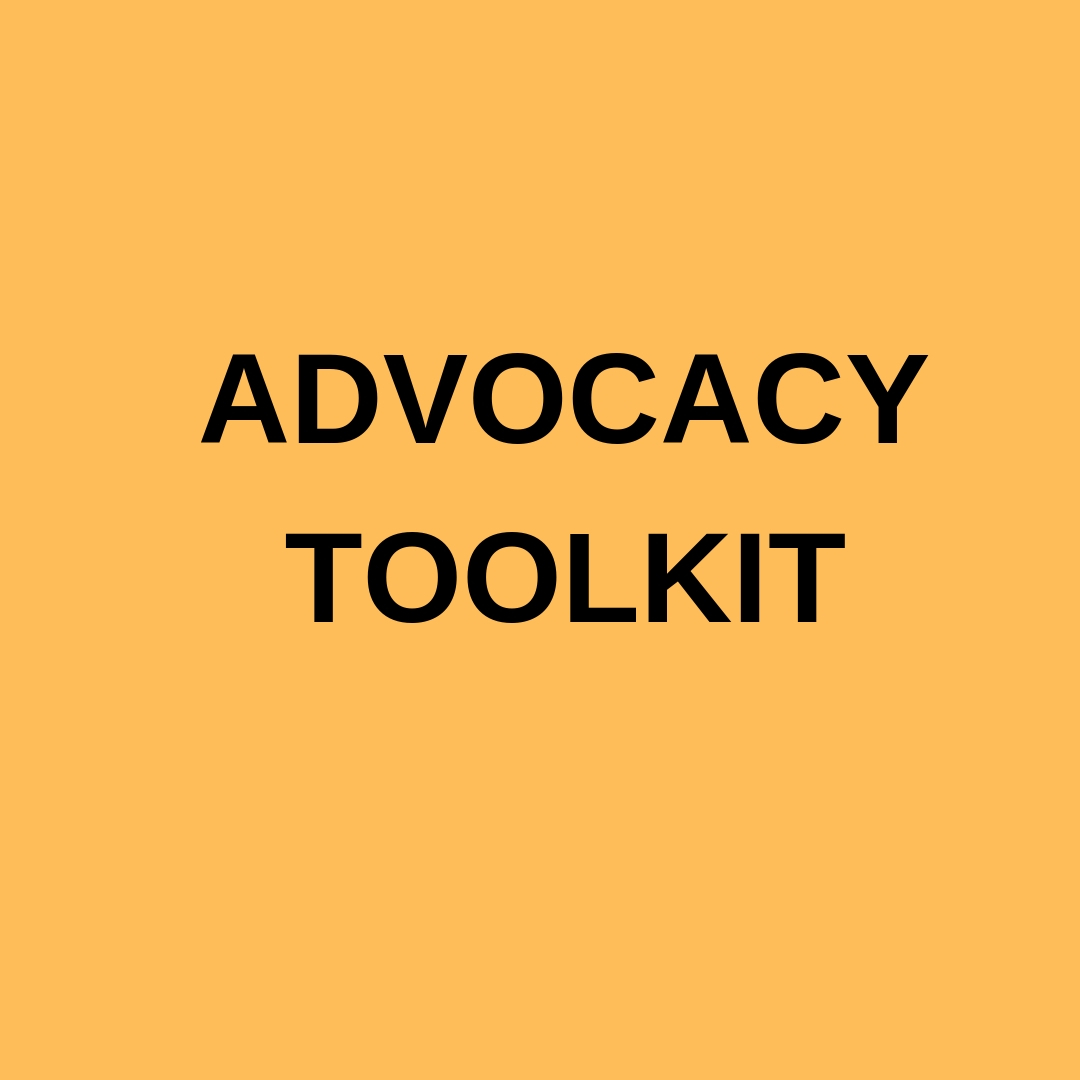 The Introverted Advocate