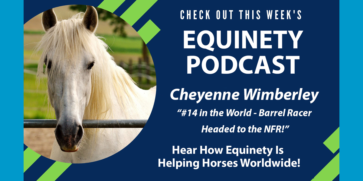Team Equinety Podcast