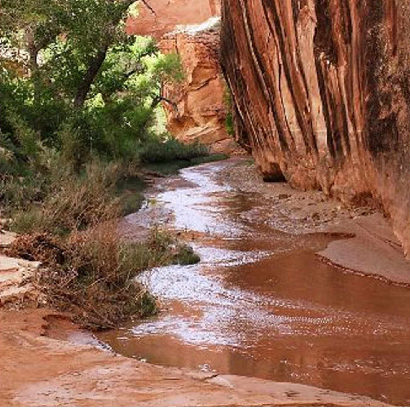Fast Water, Quick Canyons