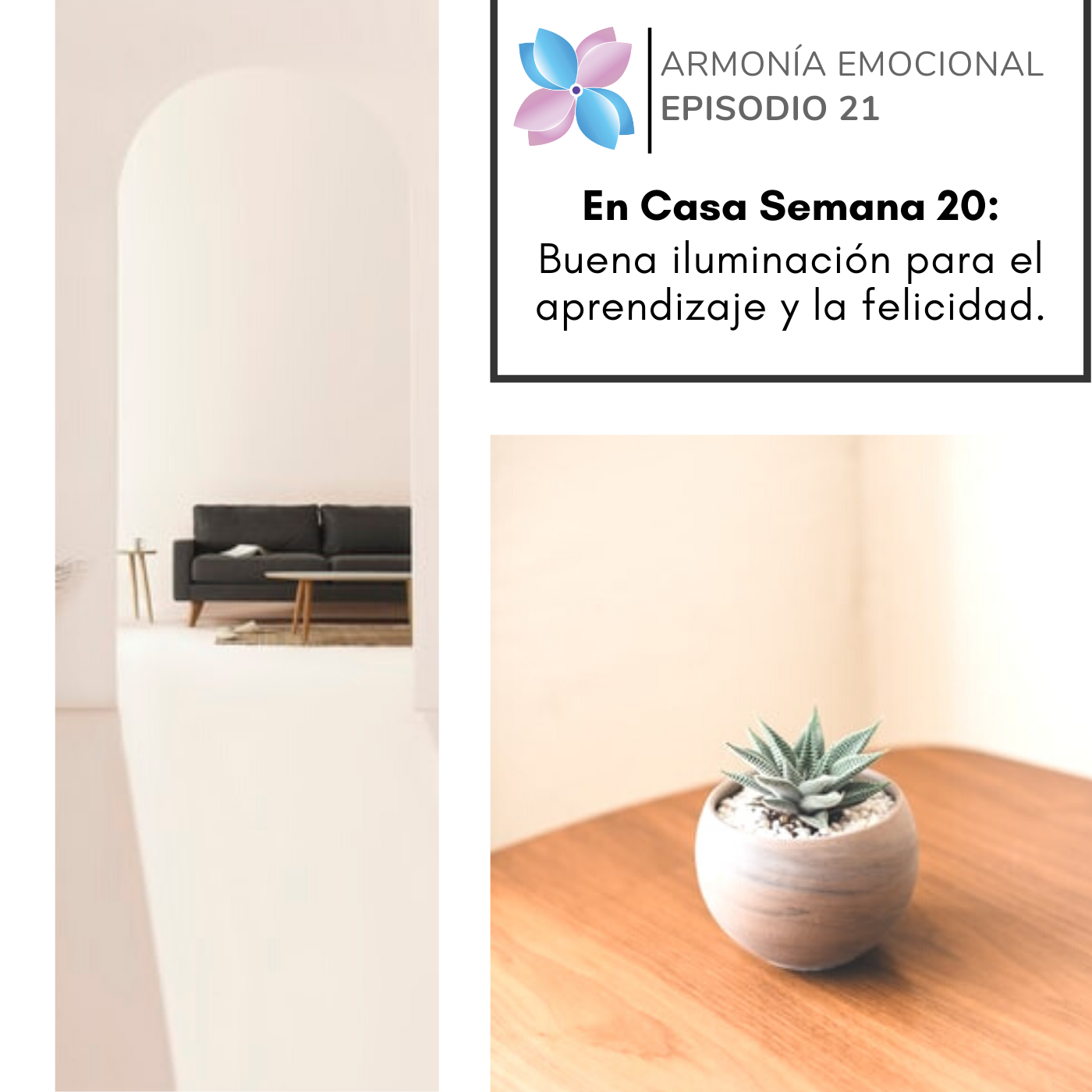 Armonia Emocional