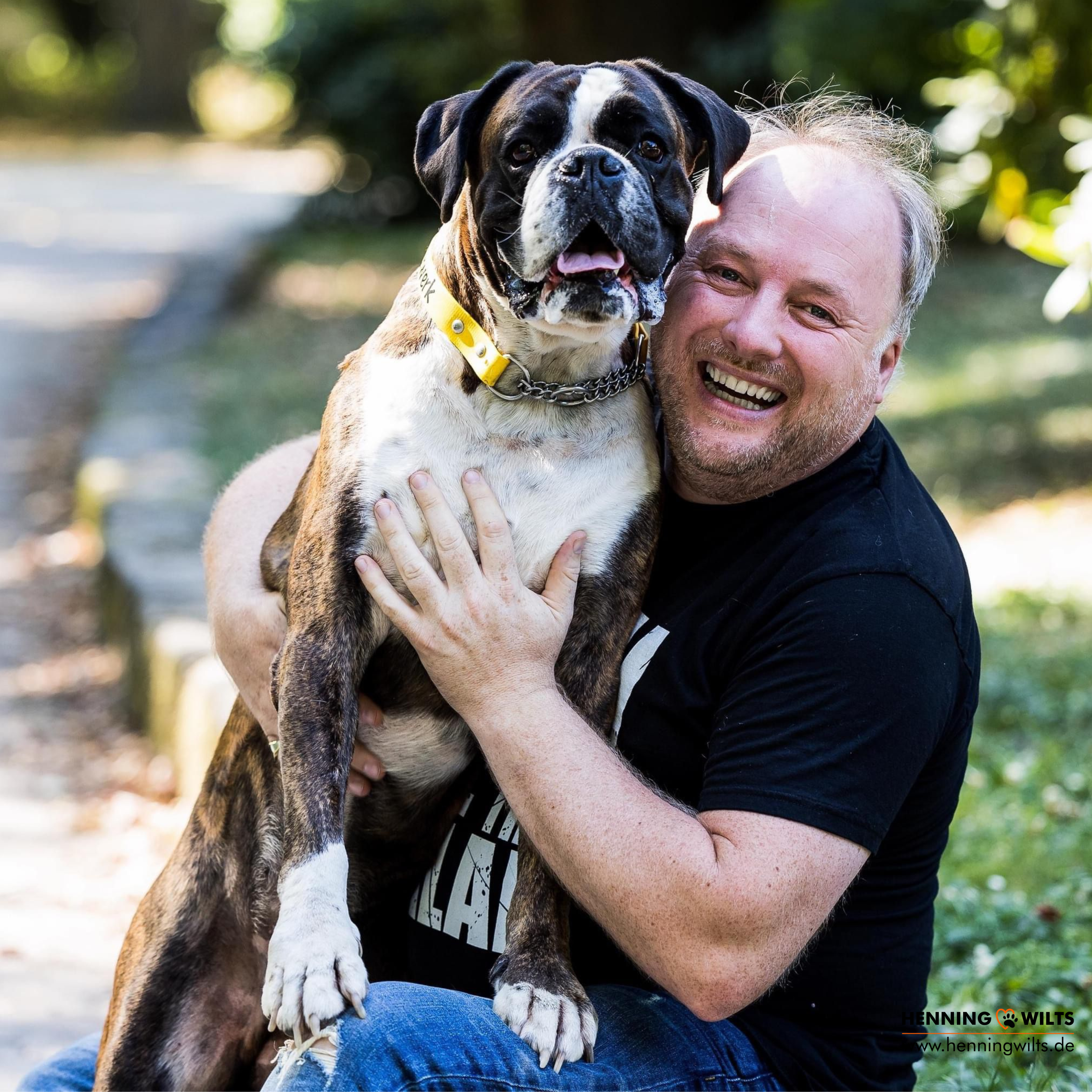 Katze, Hund gesund - Der Tierarztpodcast