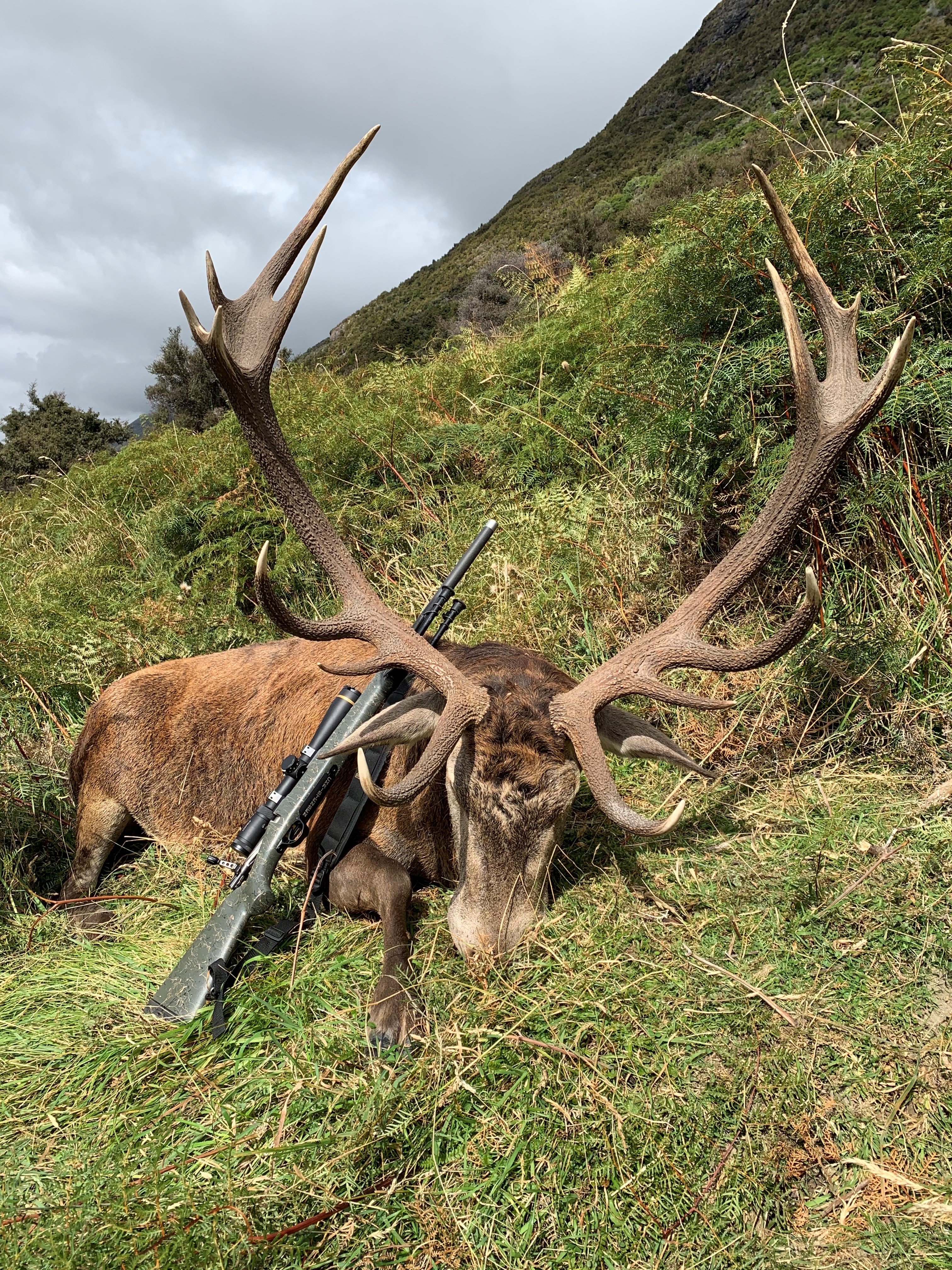 Backcountry Hunting Podcast