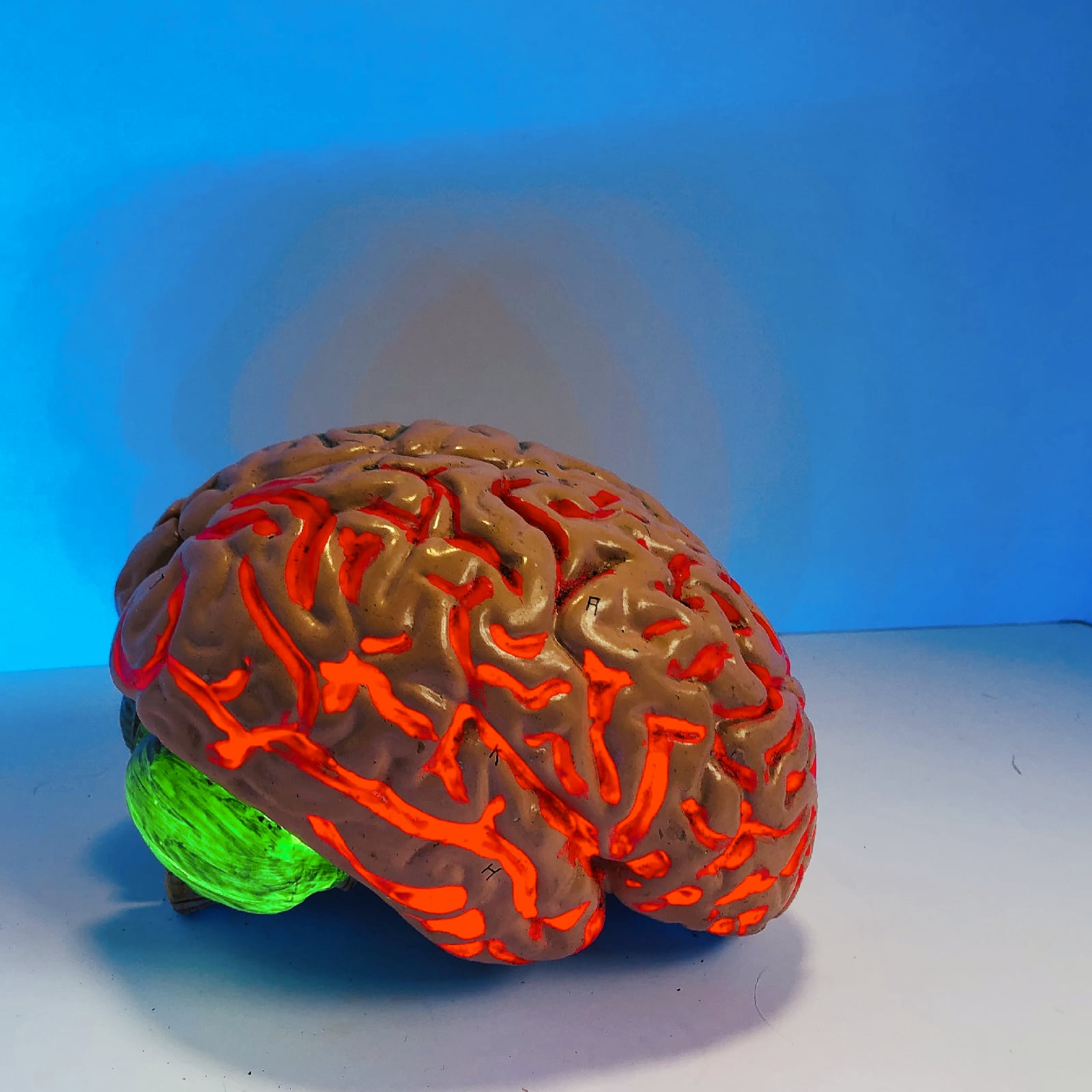 How to retrain your brain to manage chronic pain