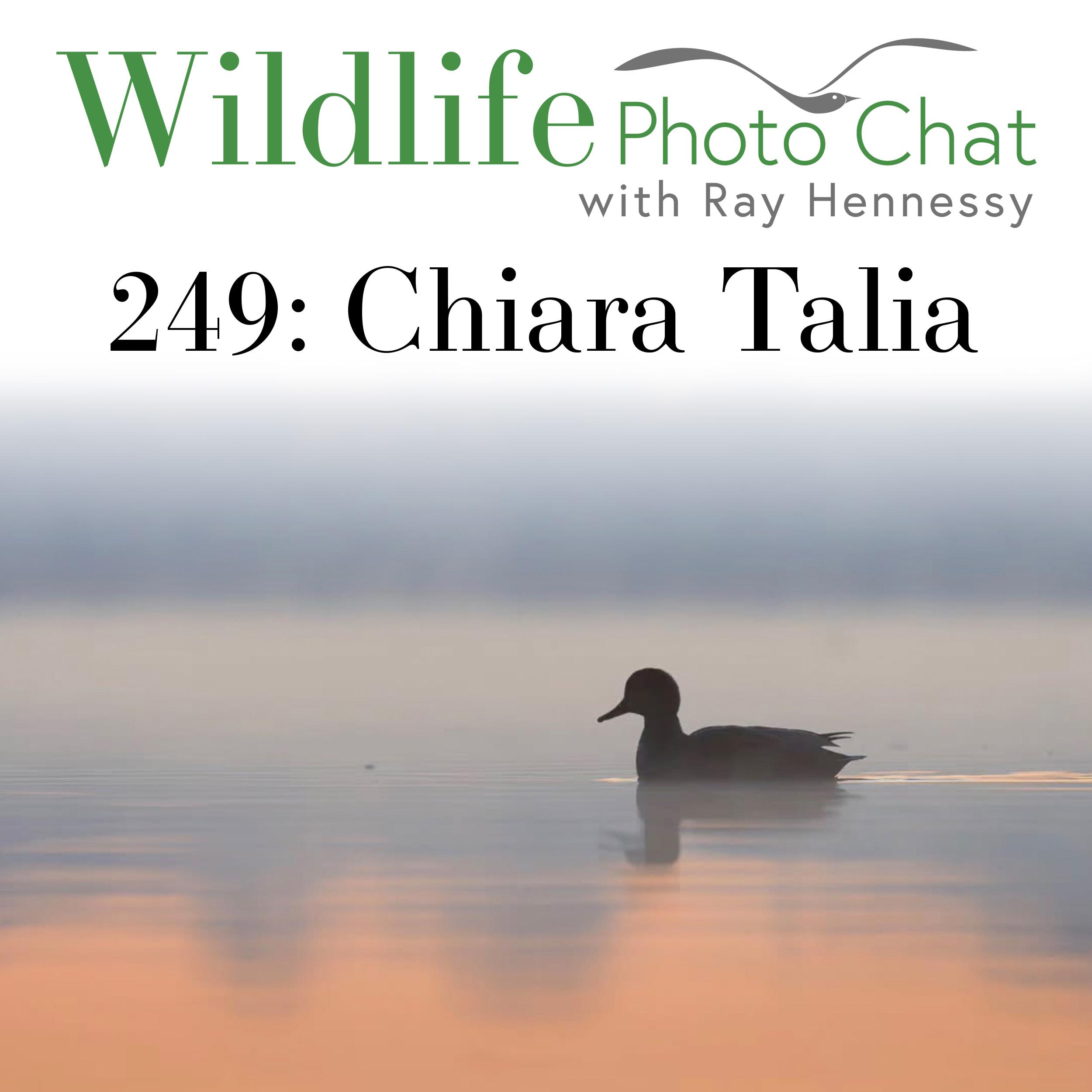 249: Chiara Talia