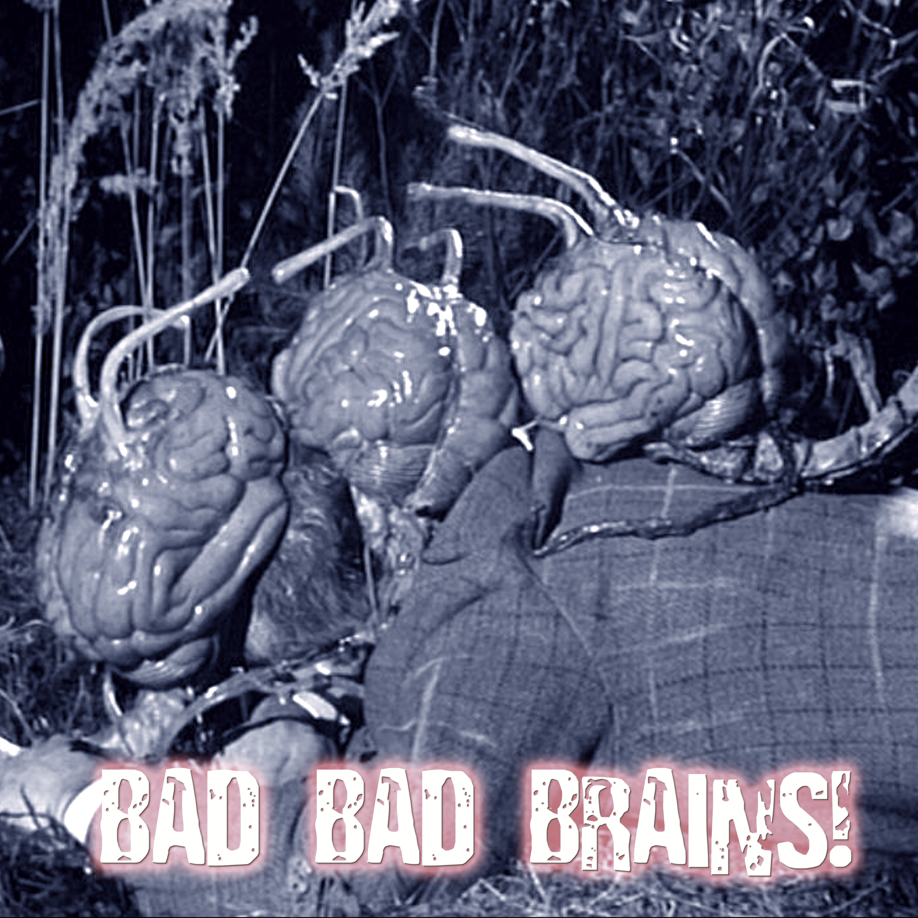 MICROGORIA 103 - Bad Bad Brains