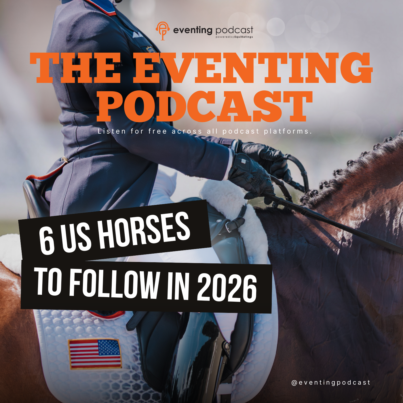 6 US Horses to Follow in 2026