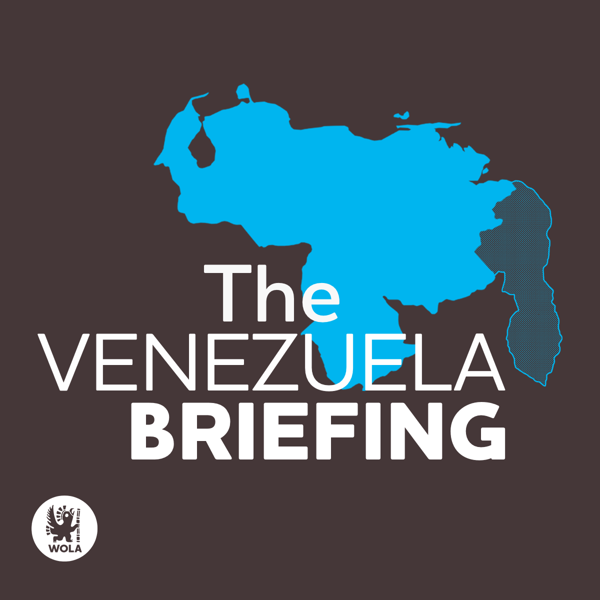 14. The Impact of Venezuela's Crisis on Women and Girls