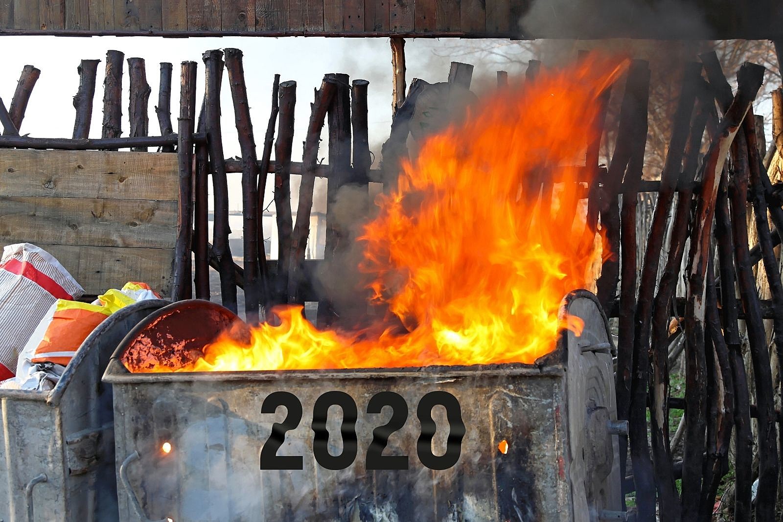 2020: The Best of the Worst Year Ever!