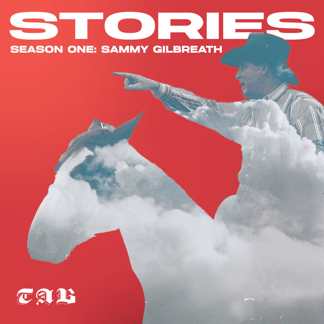 Introducing Stories