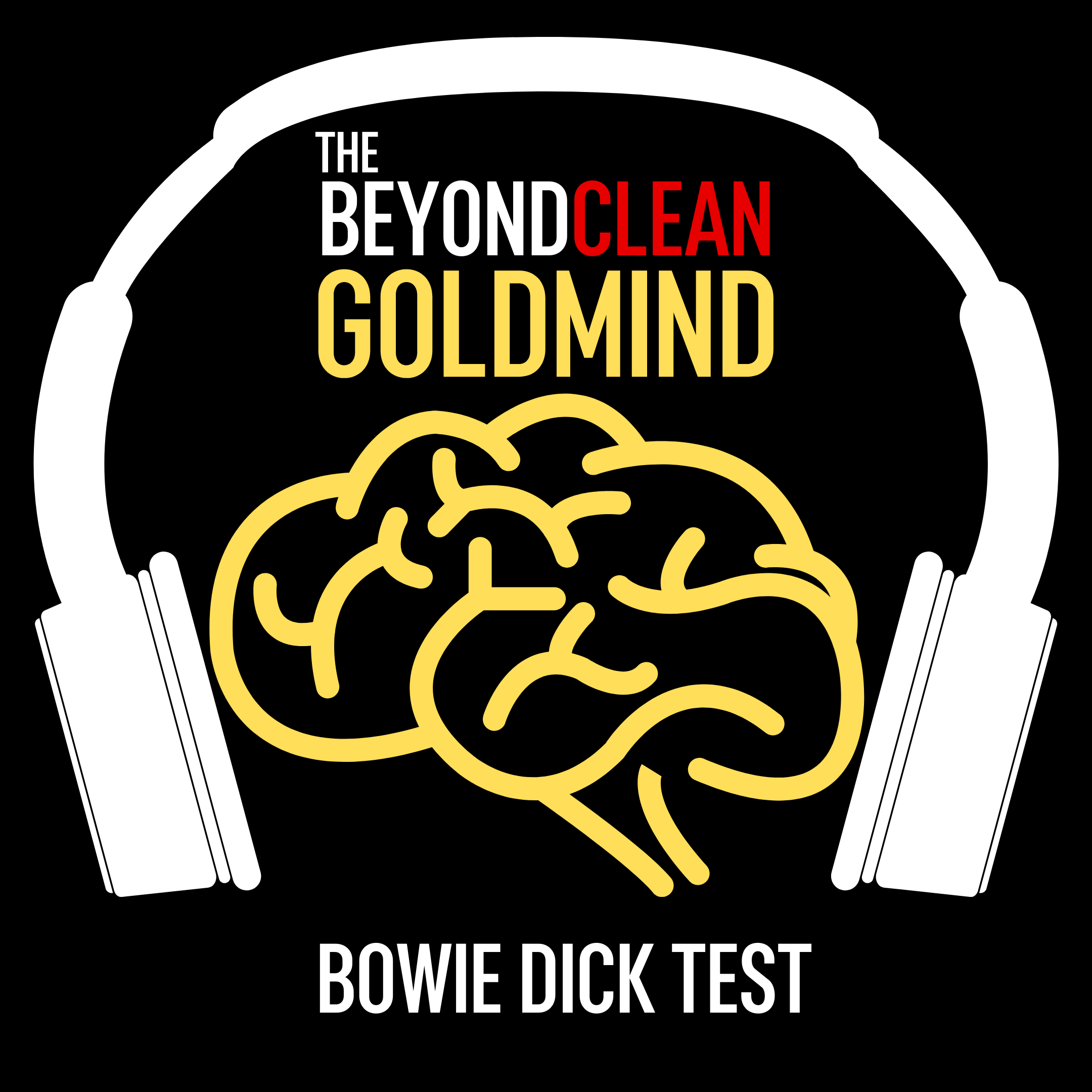 Bowie Dick Test