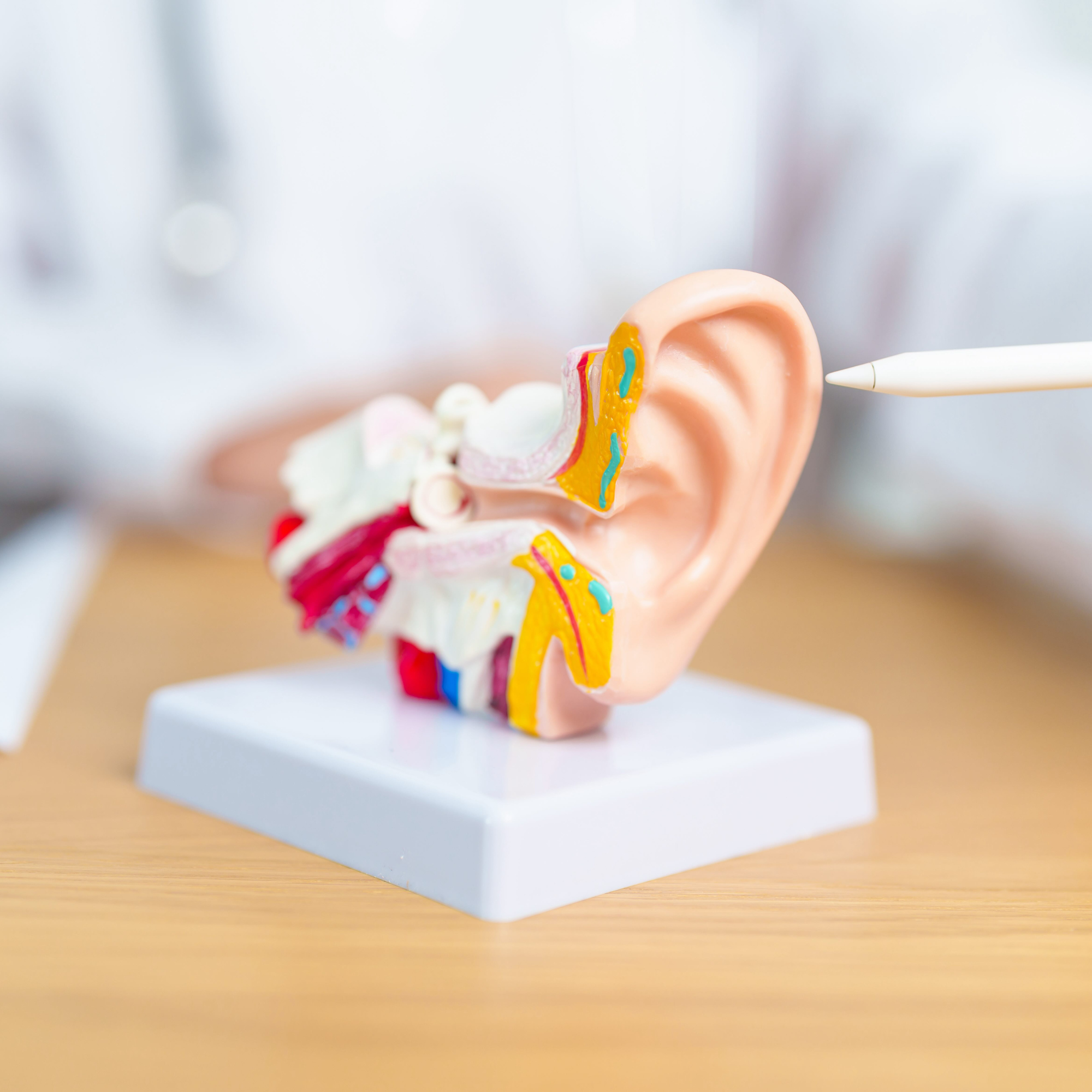 The Miracle of Hearing