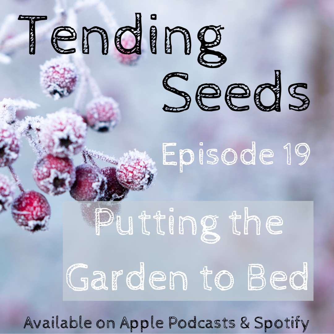 Tending Seeds: Adventures in Gardening, Homesteading, and Herbalism