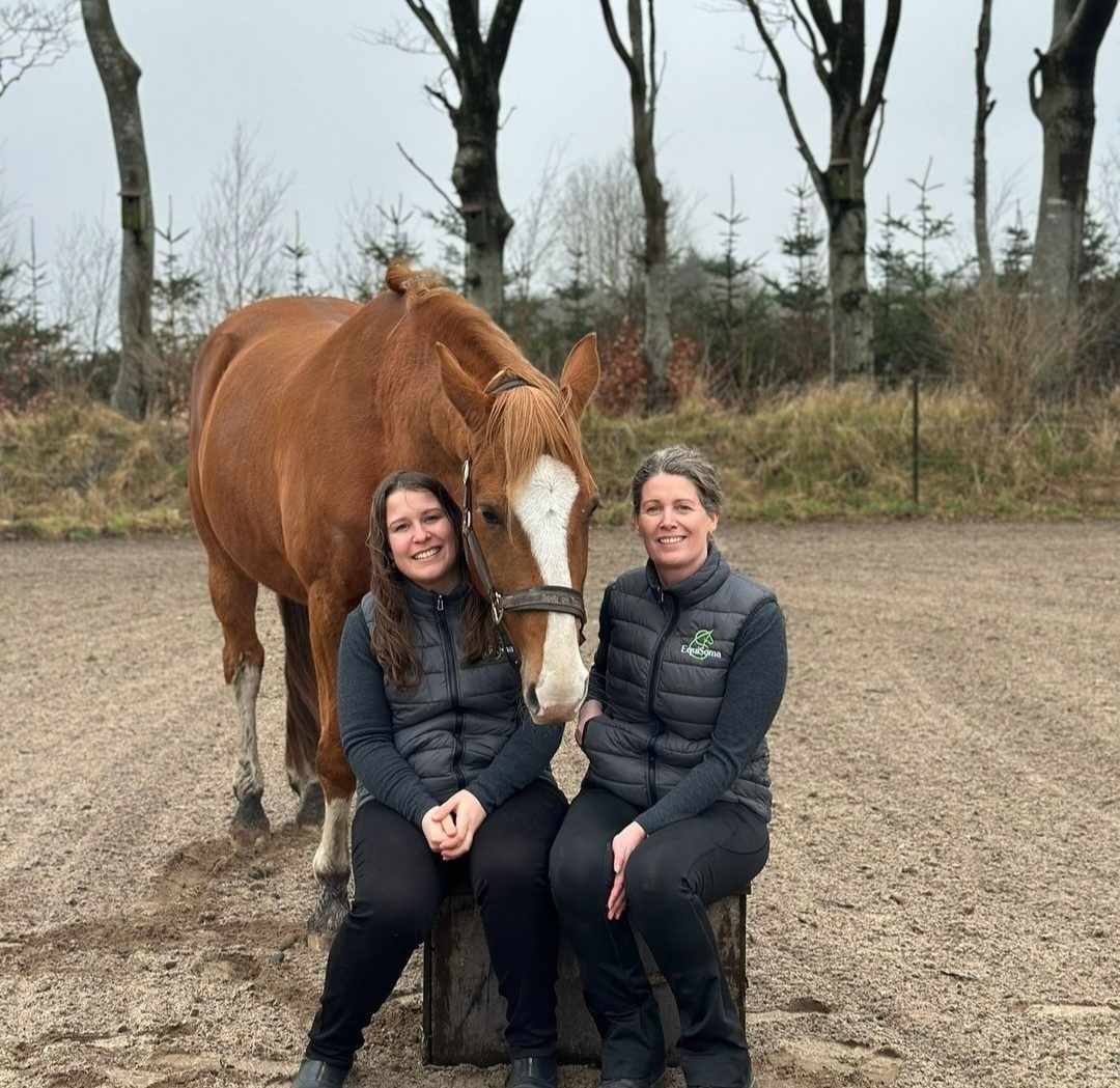 Nervesystemet, den glemte brik i foderplanen med Susan Helany og Anitta Thusing fra AS Equisoma