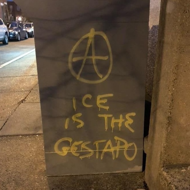 Eric King on Alligator Alcatraz, ICE Kidnappings Eric King on Alligator Alcatraz, ICE Kidnappings