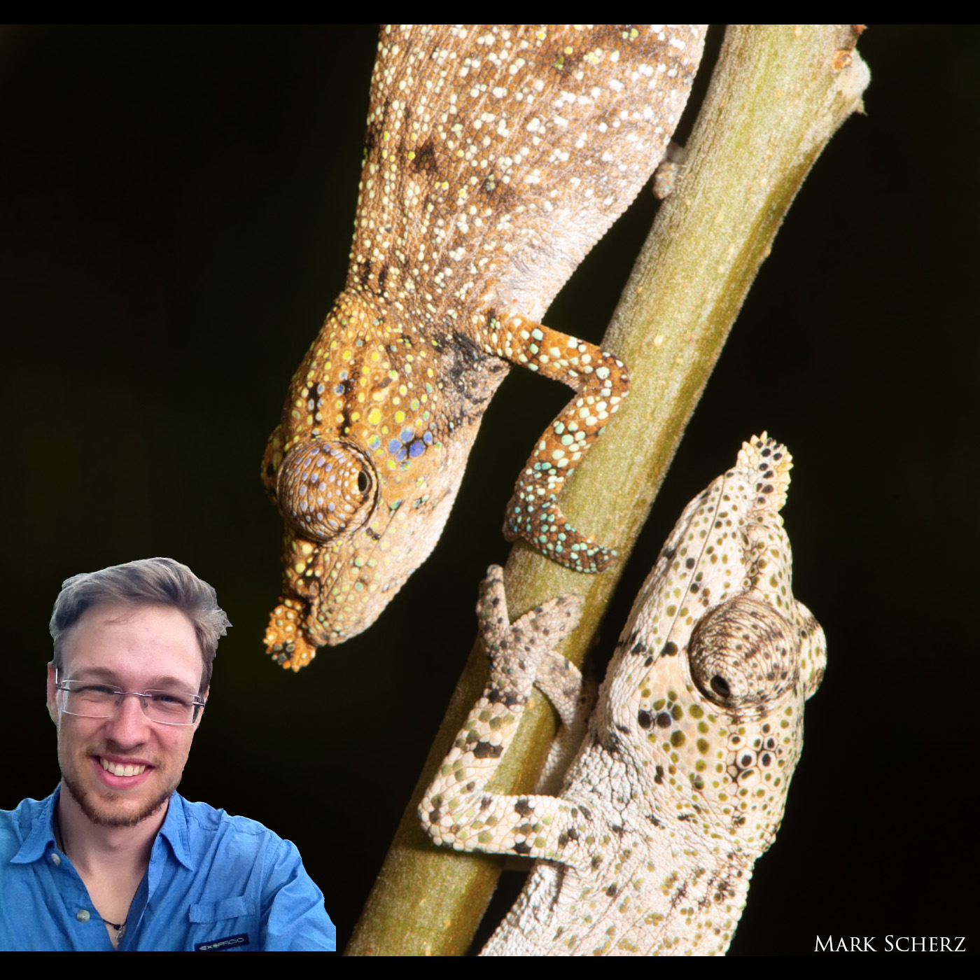 Species Talk with Dr. Mark Scherz