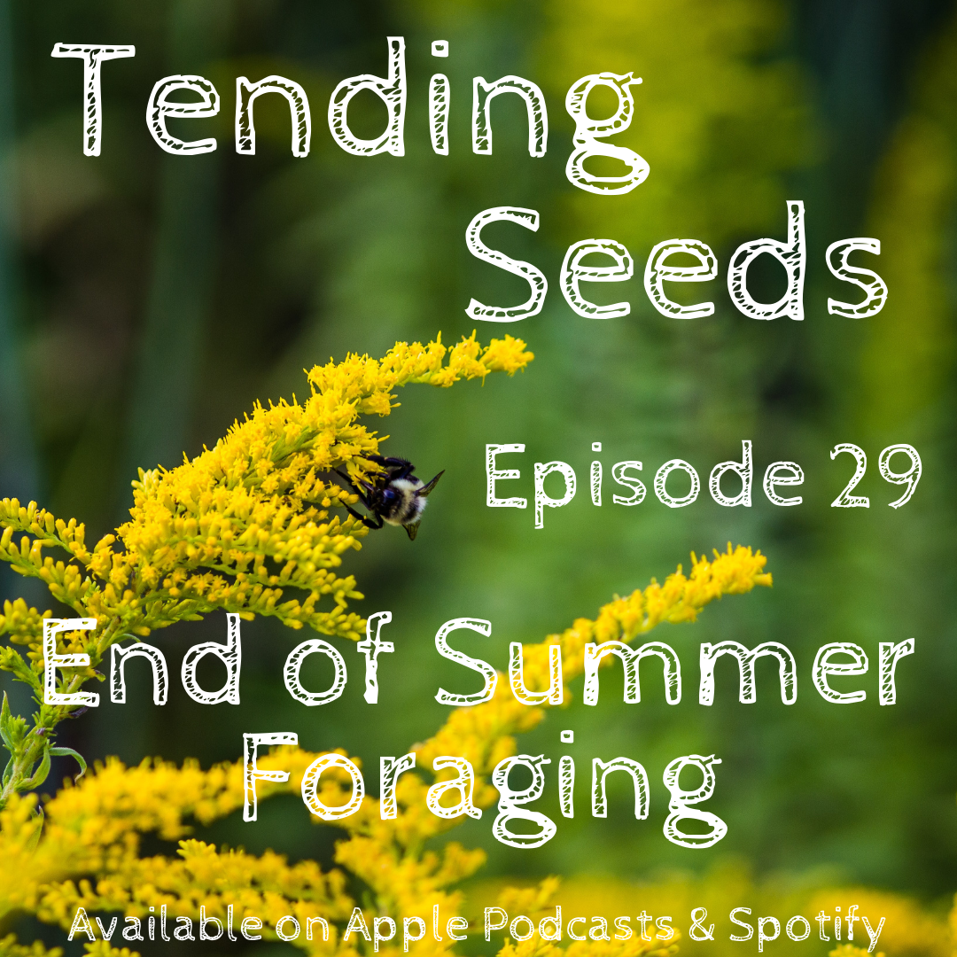 Tending Seeds: Adventures in Gardening, Homesteading, and Herbalism