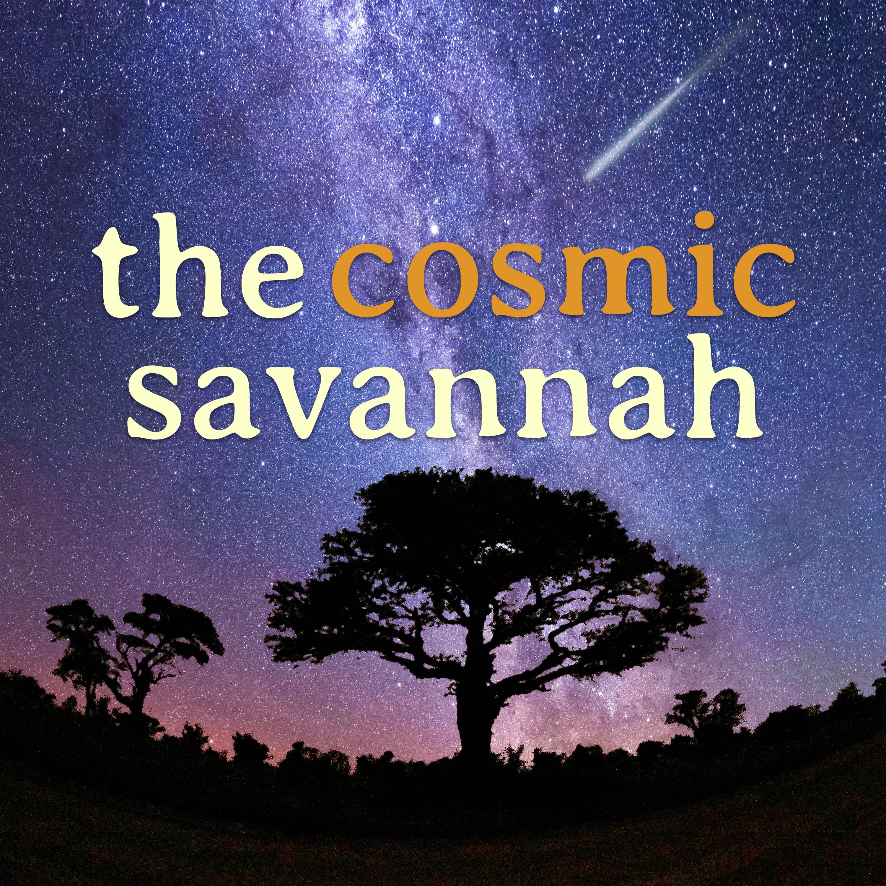 The Cosmic Savannah Ep. 75: Exploring the Universe at the SARAO Conference