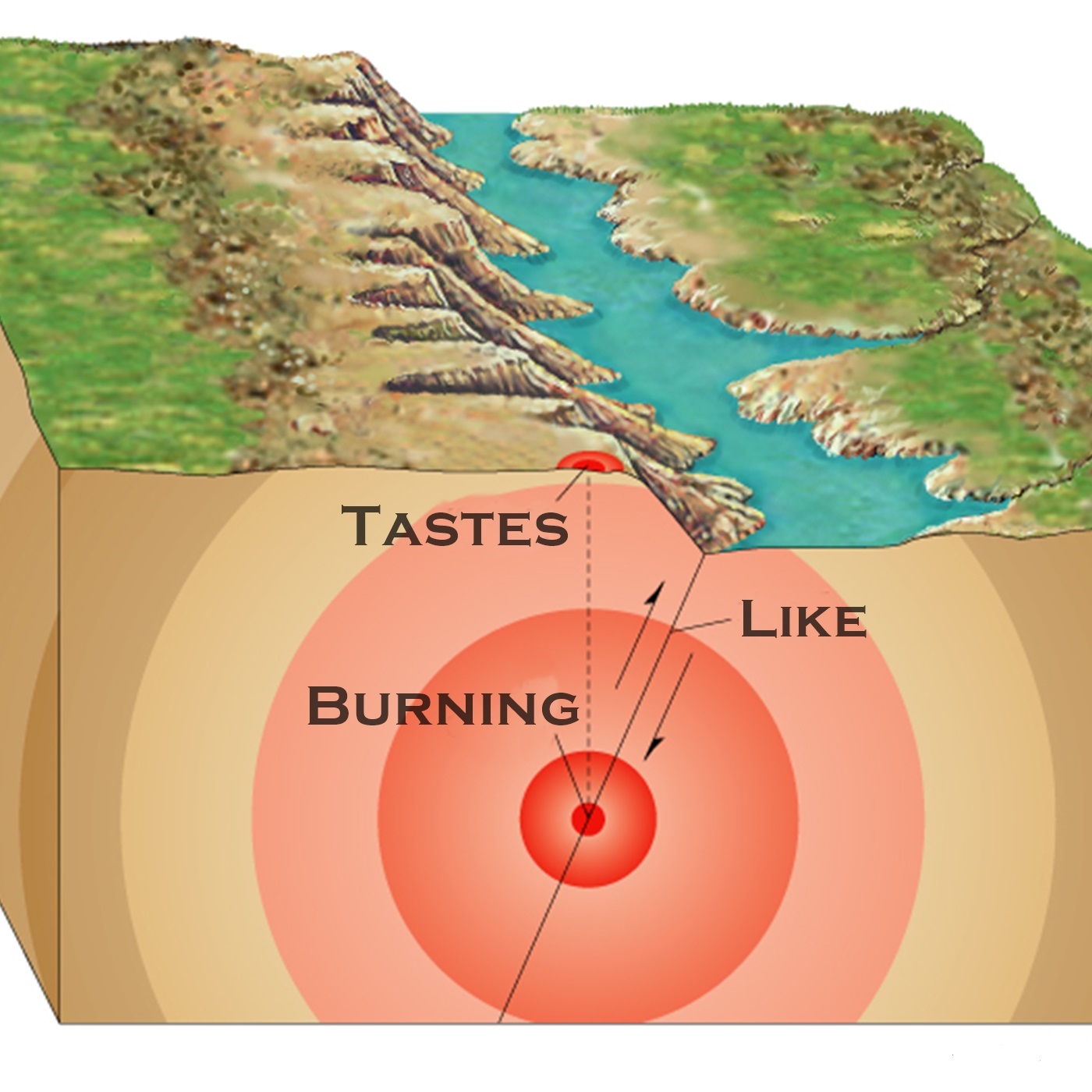 Tastes Like Burning 276: Quakers