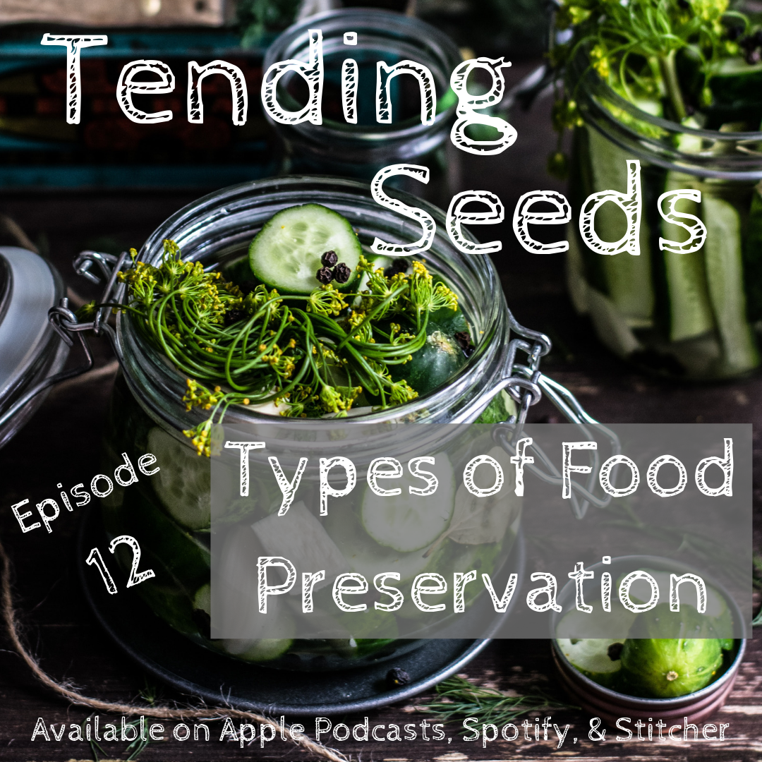 Tending Seeds: Adventures in Gardening, Homesteading, and Herbalism