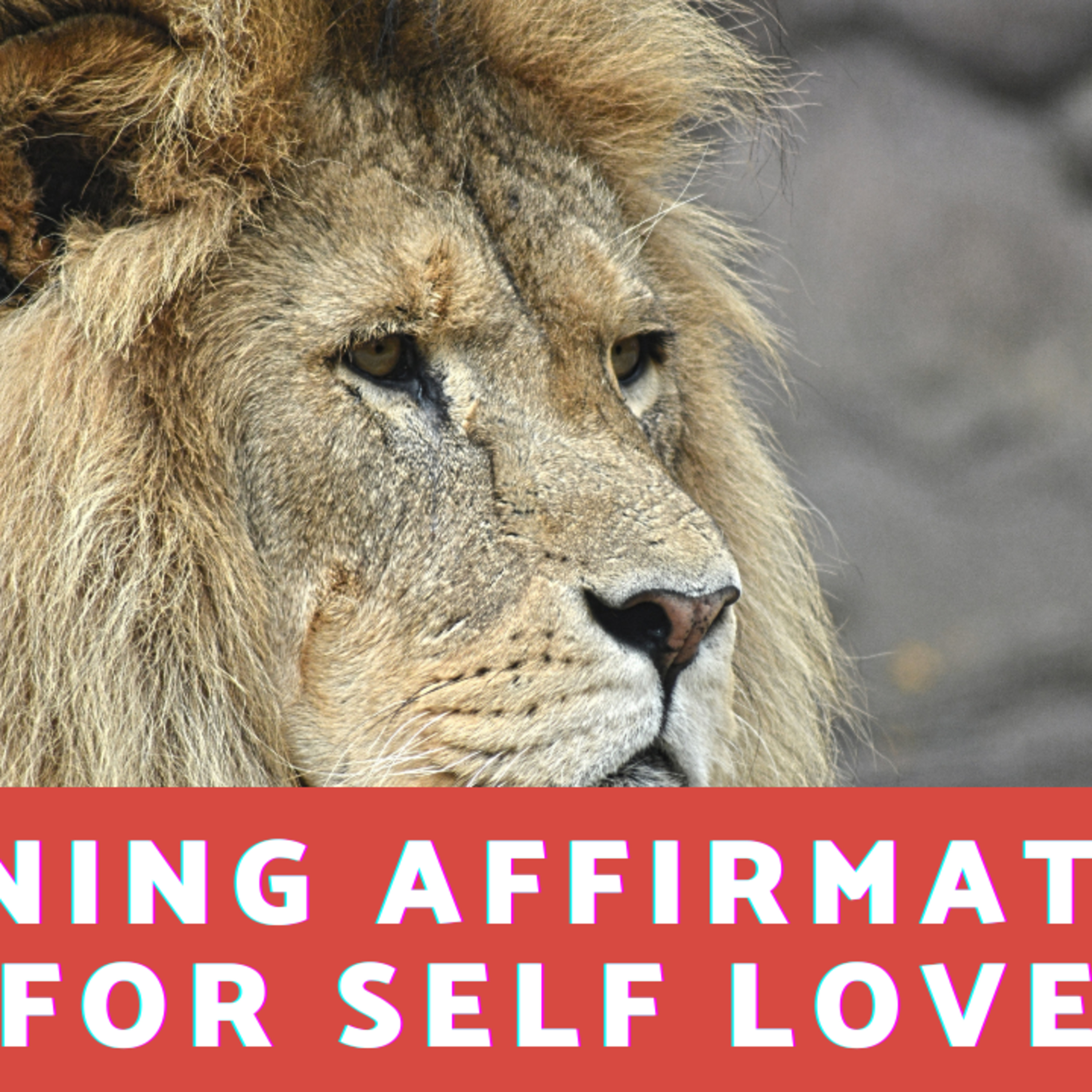 Daily Affirmations 247
