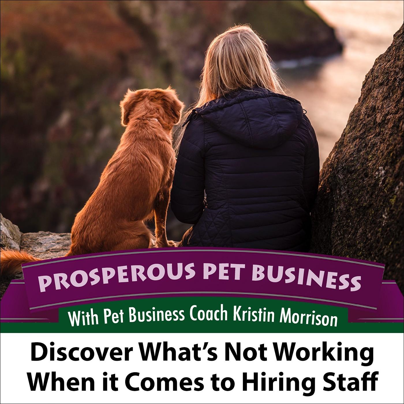 Prosperous Pet Business