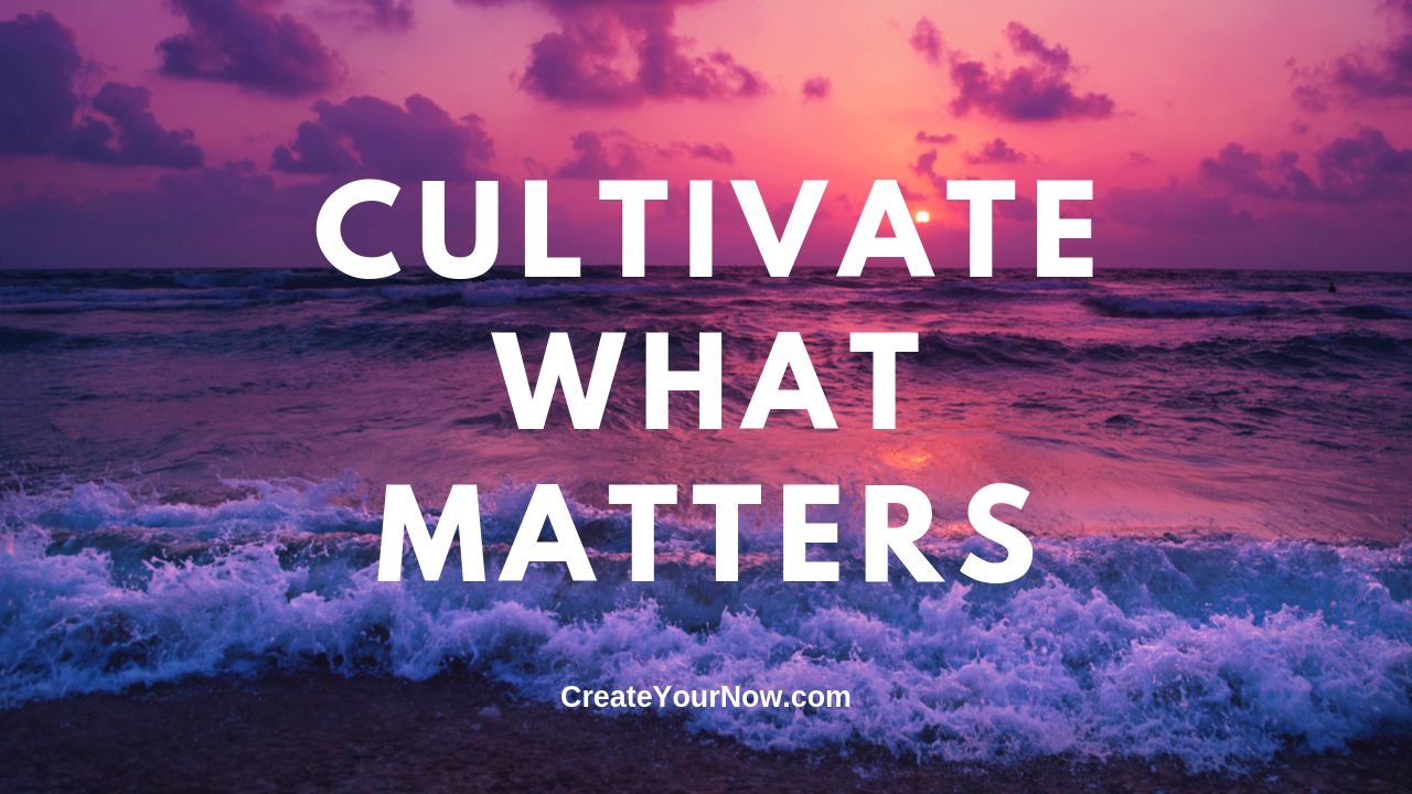 1737 Cultivate What Matters