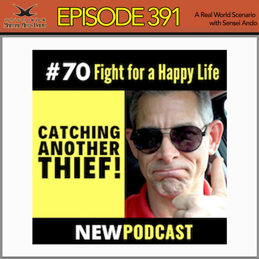 whistlekick Martial Arts Radio