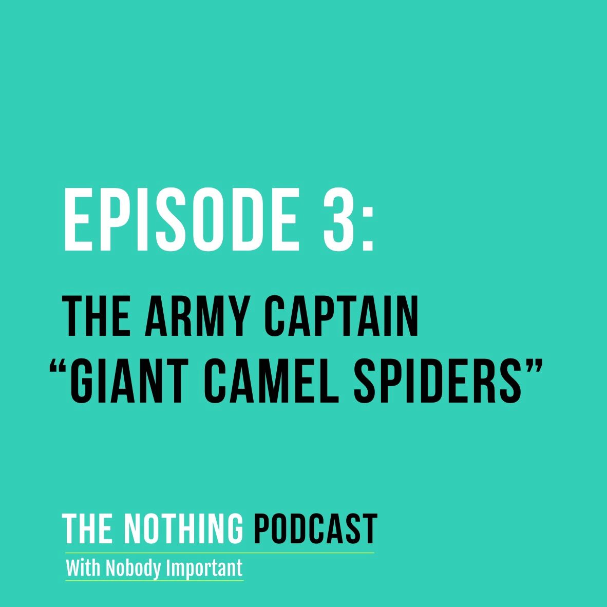 The Army Captain - 